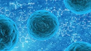 Foto cellula tumore e alimentazione